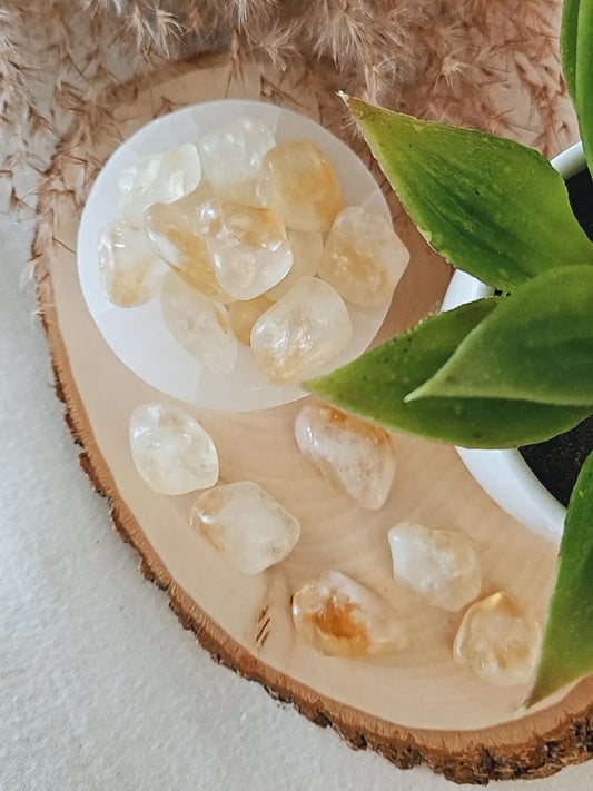 Citrine Tumble 2 pcs.