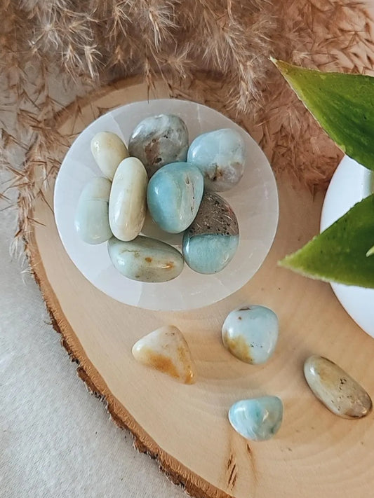 Amazonite Tumble 2 pcs.