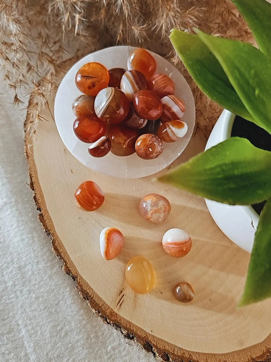 Carnelian Tumble 6 pcs.