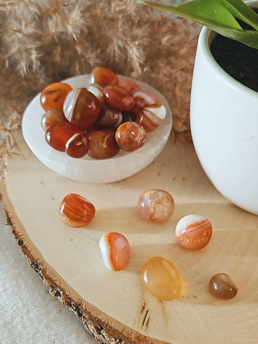 Carnelian Tumble 6 pcs.