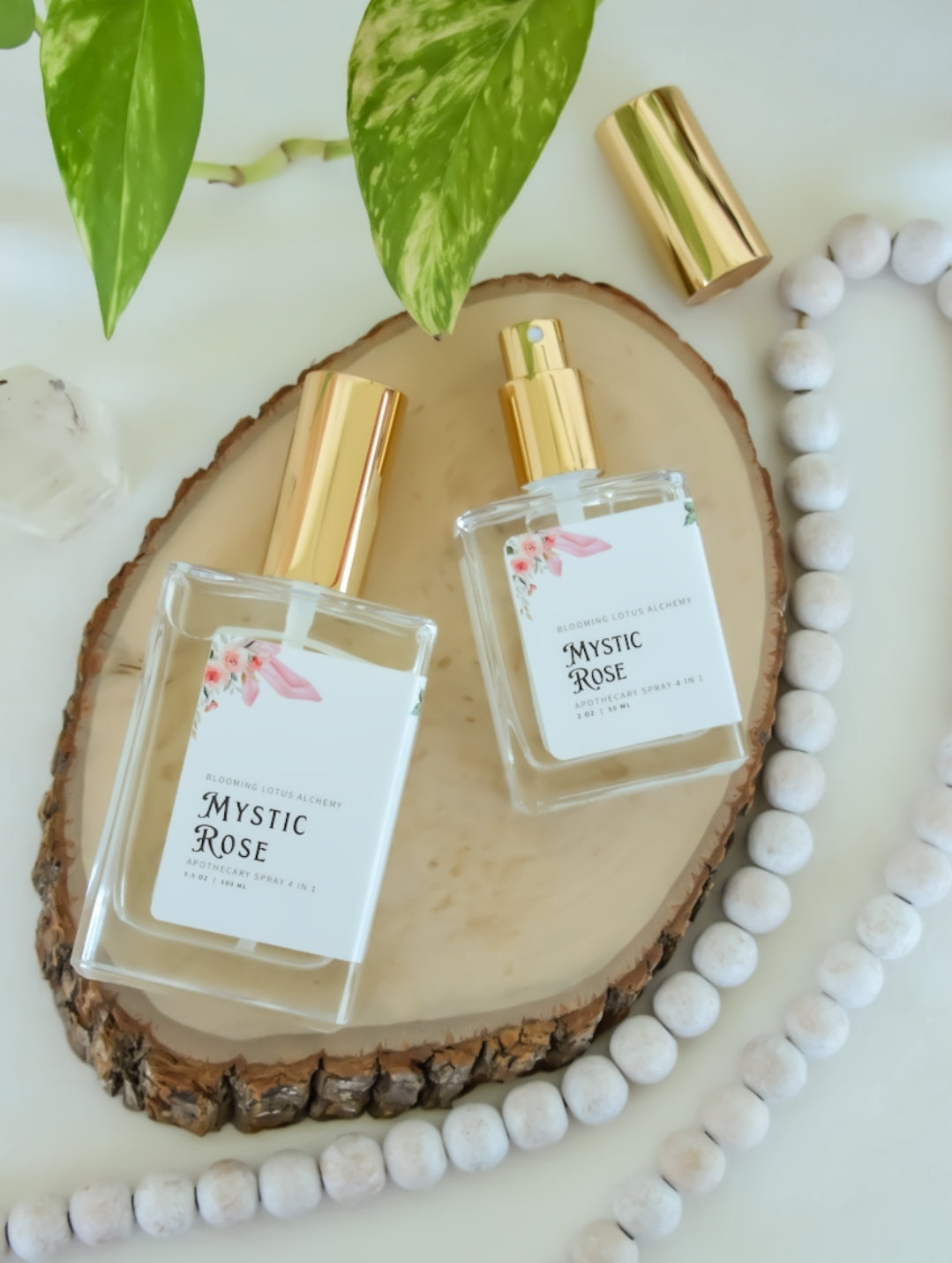 Mystic Rose Spray