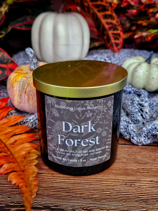 Dark Forest