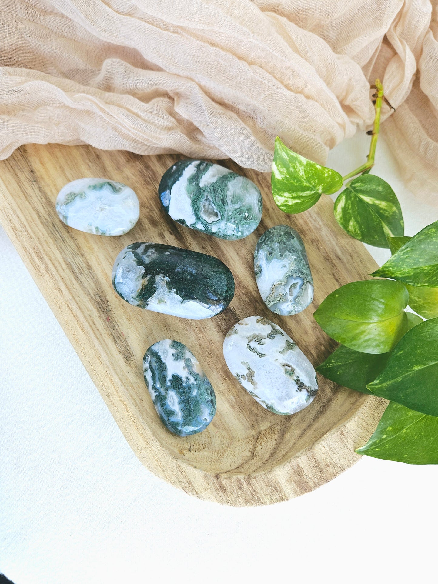 Moss Agate Palm Stone