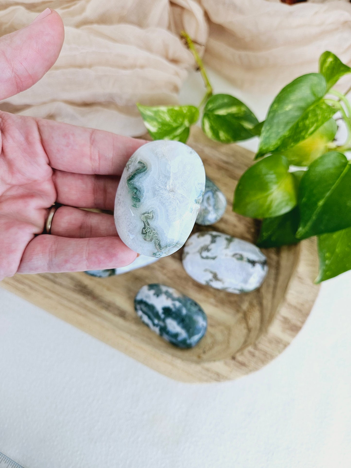 Moss Agate Palm Stone