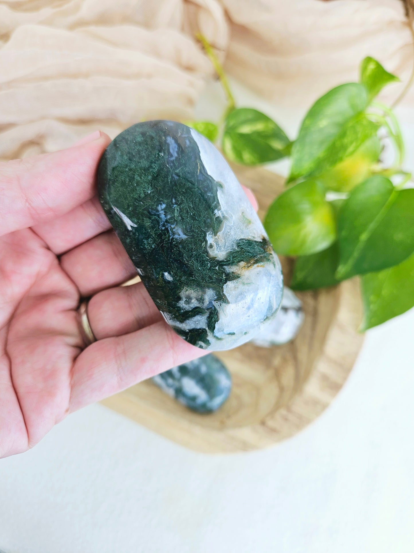 Moss Agate Palm Stone