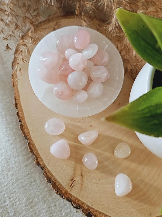 Rose Quartz Tumble 6 pcs.