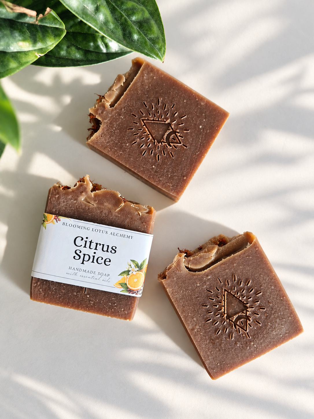 Citrus Spice Soap