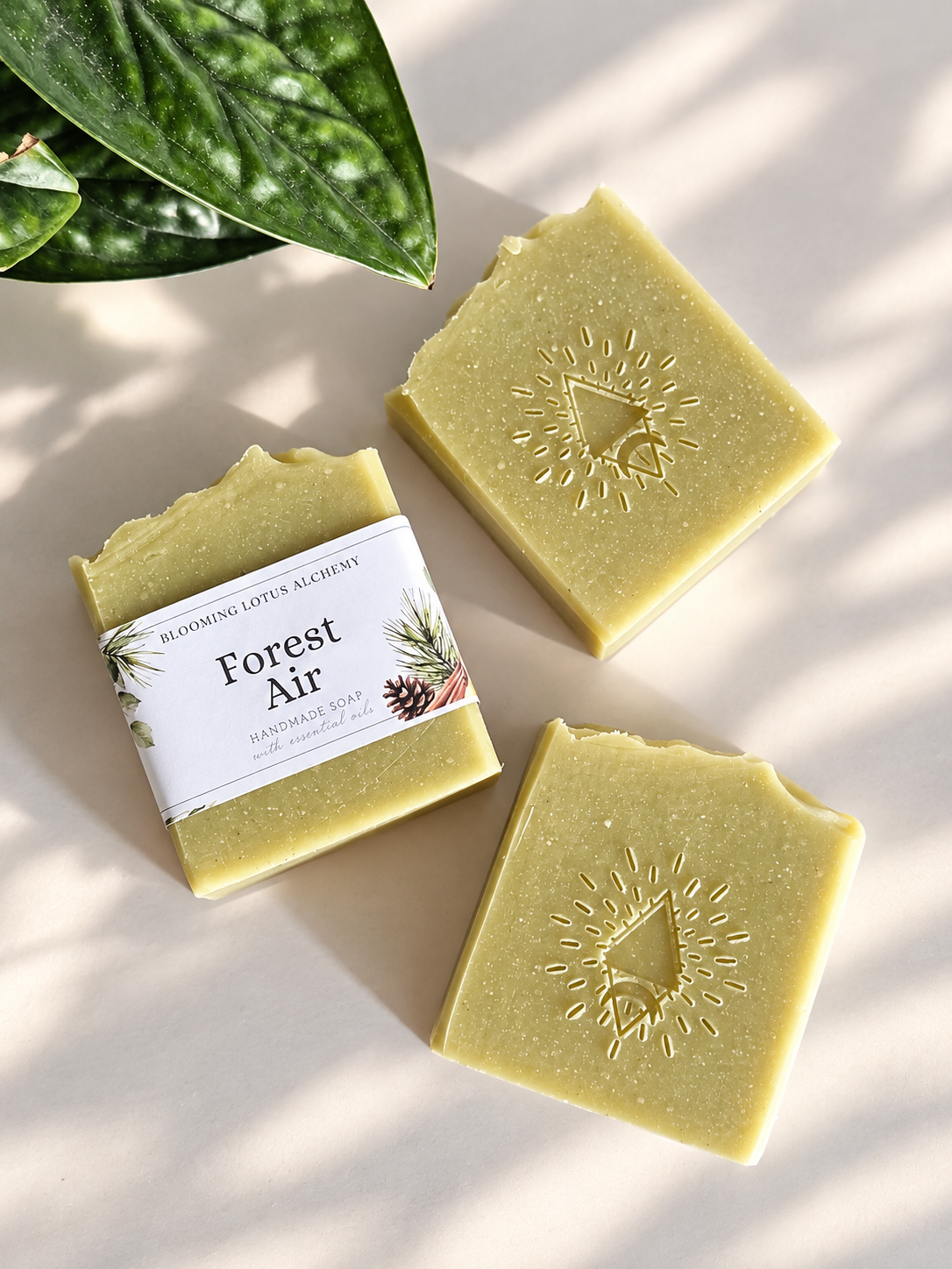 Forest Air Soap