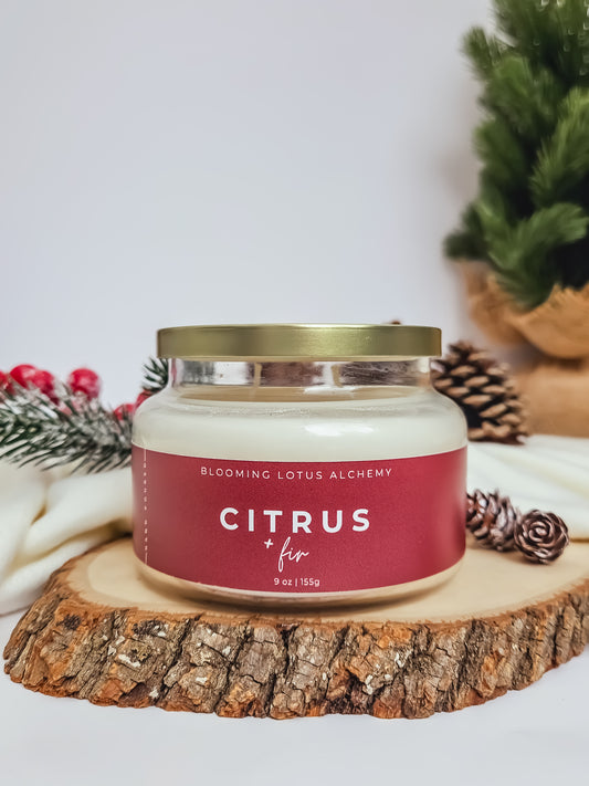 Citrus + Fir Candle