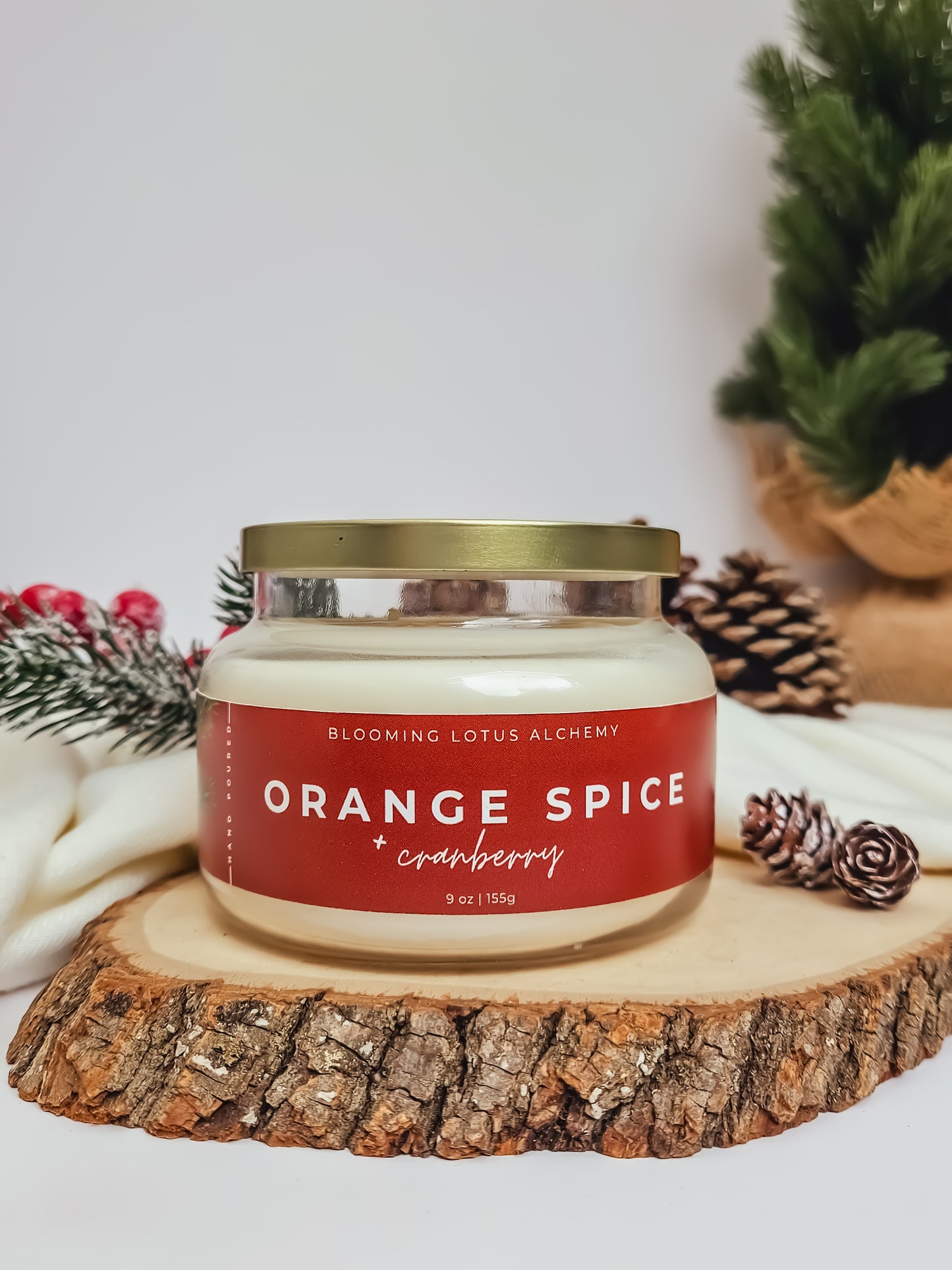 Orange Cranberry Spice Candle