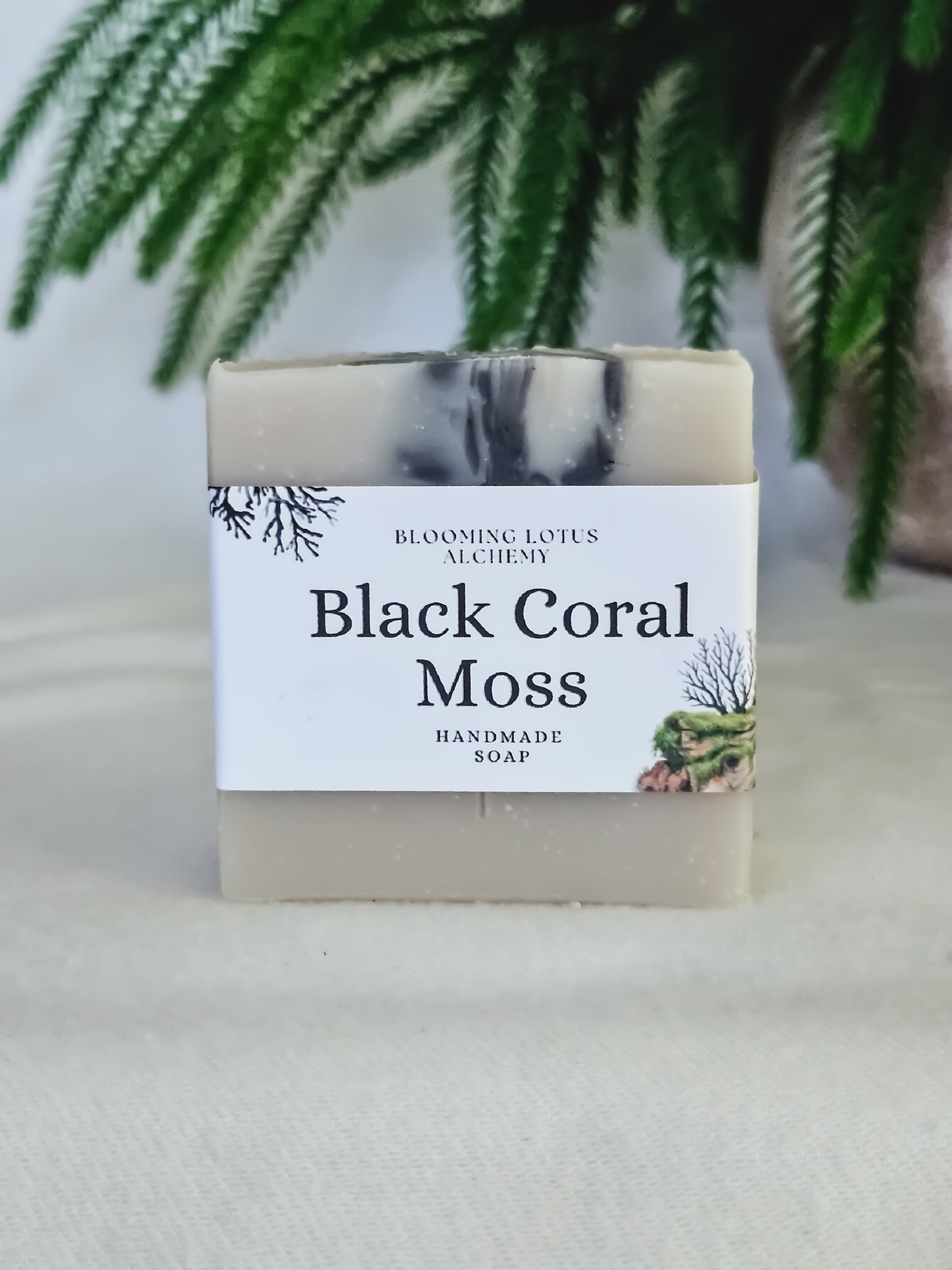 Black Coral Moss Soap