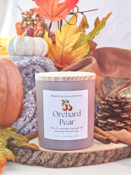 Orchard Pear