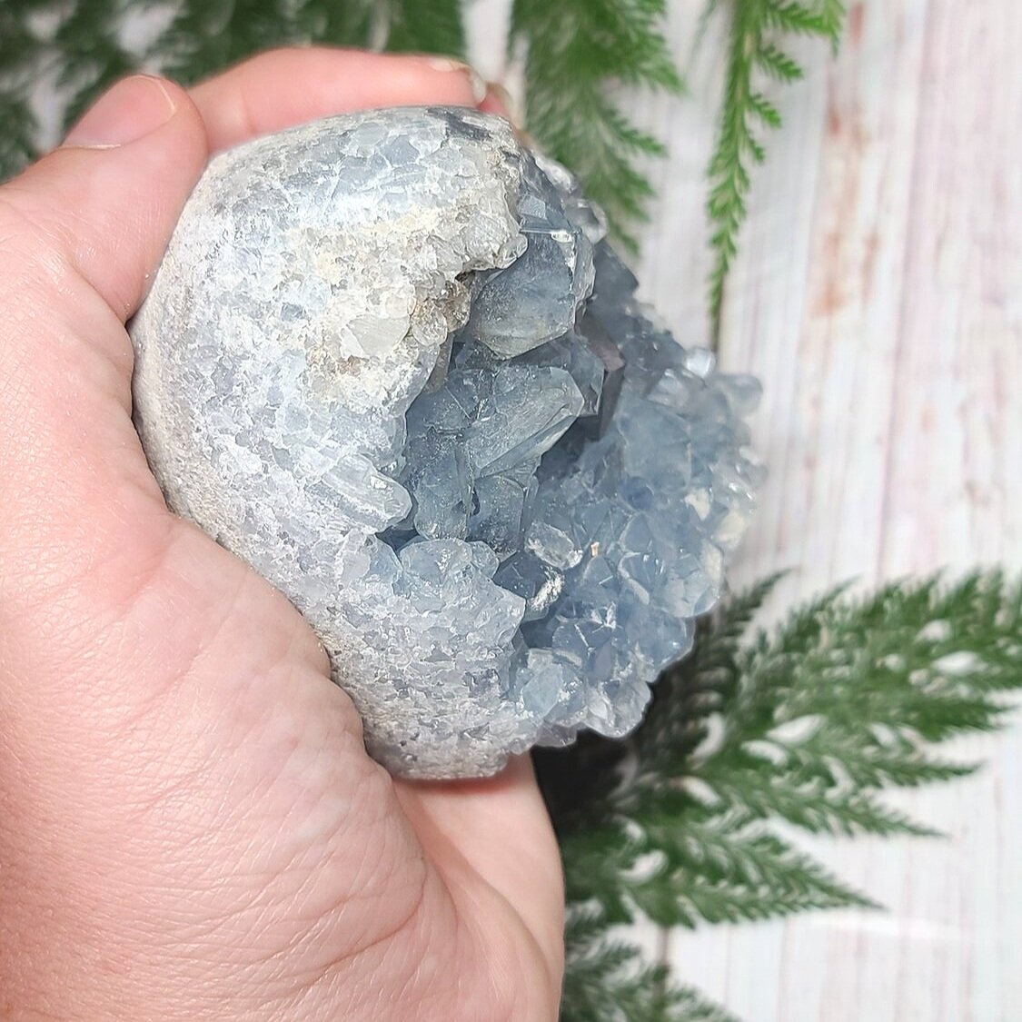 Celestite Geodes - bloominglotusalchemy