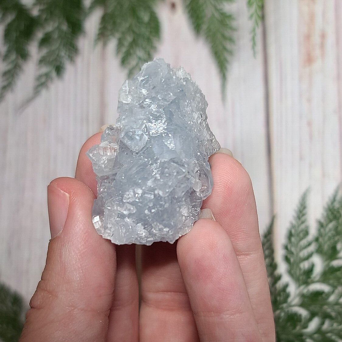 Celestite Geodes - bloominglotusalchemy