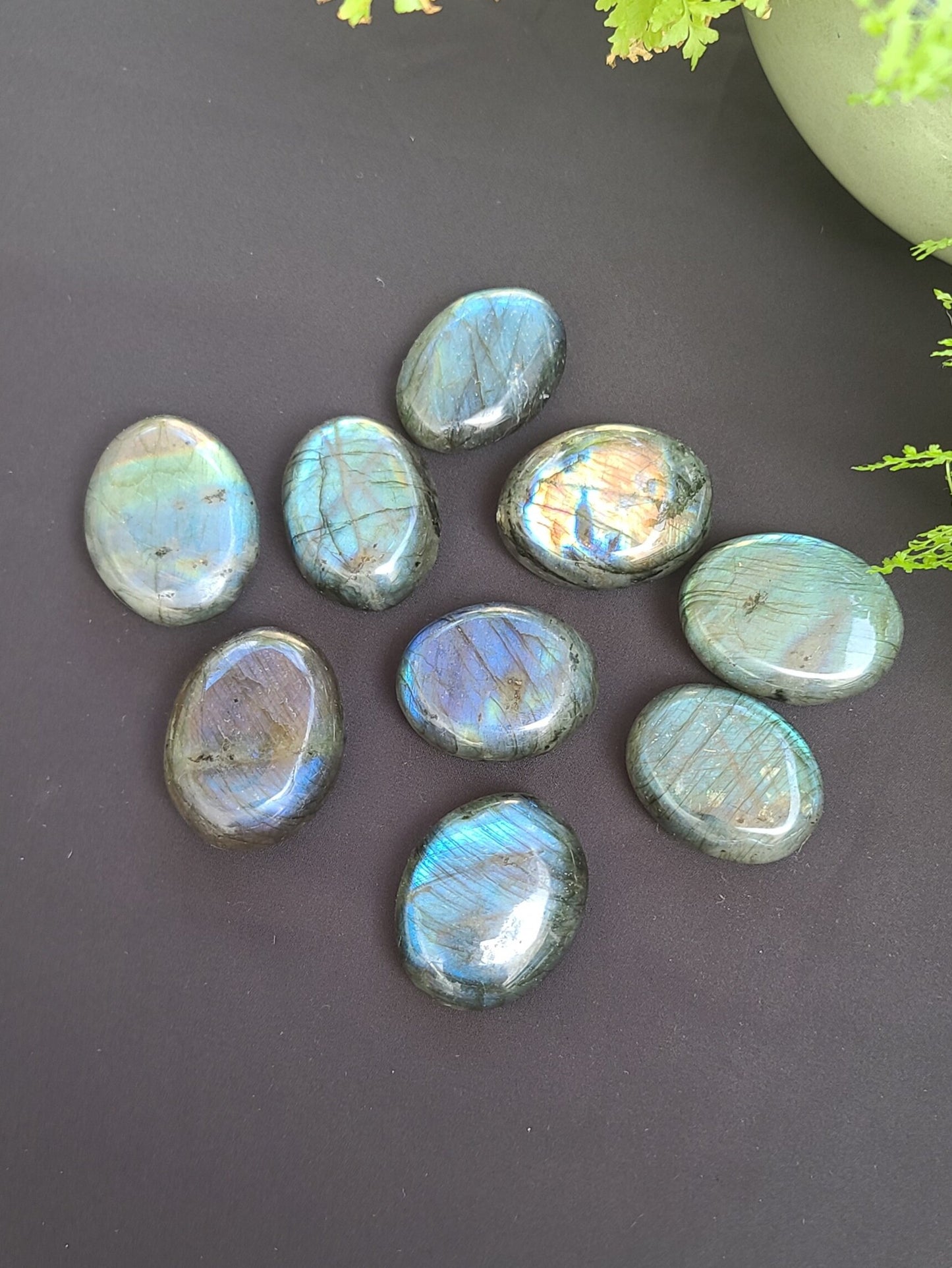 Labradorite Palms - bloominglotusalchemy