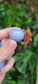 Blue Lace Agate Sphere - bloominglotusalchemy