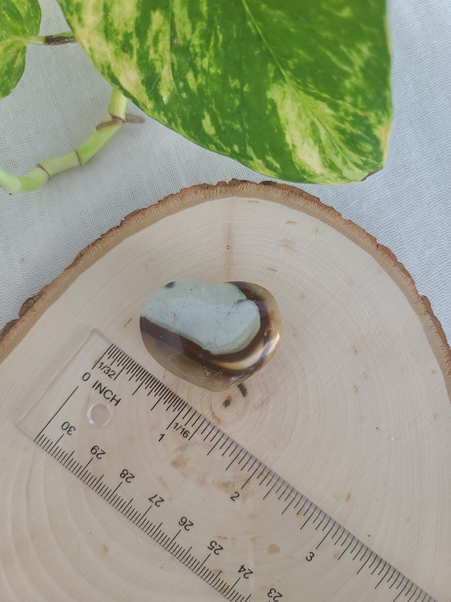 Polychrome Jasper Hearts