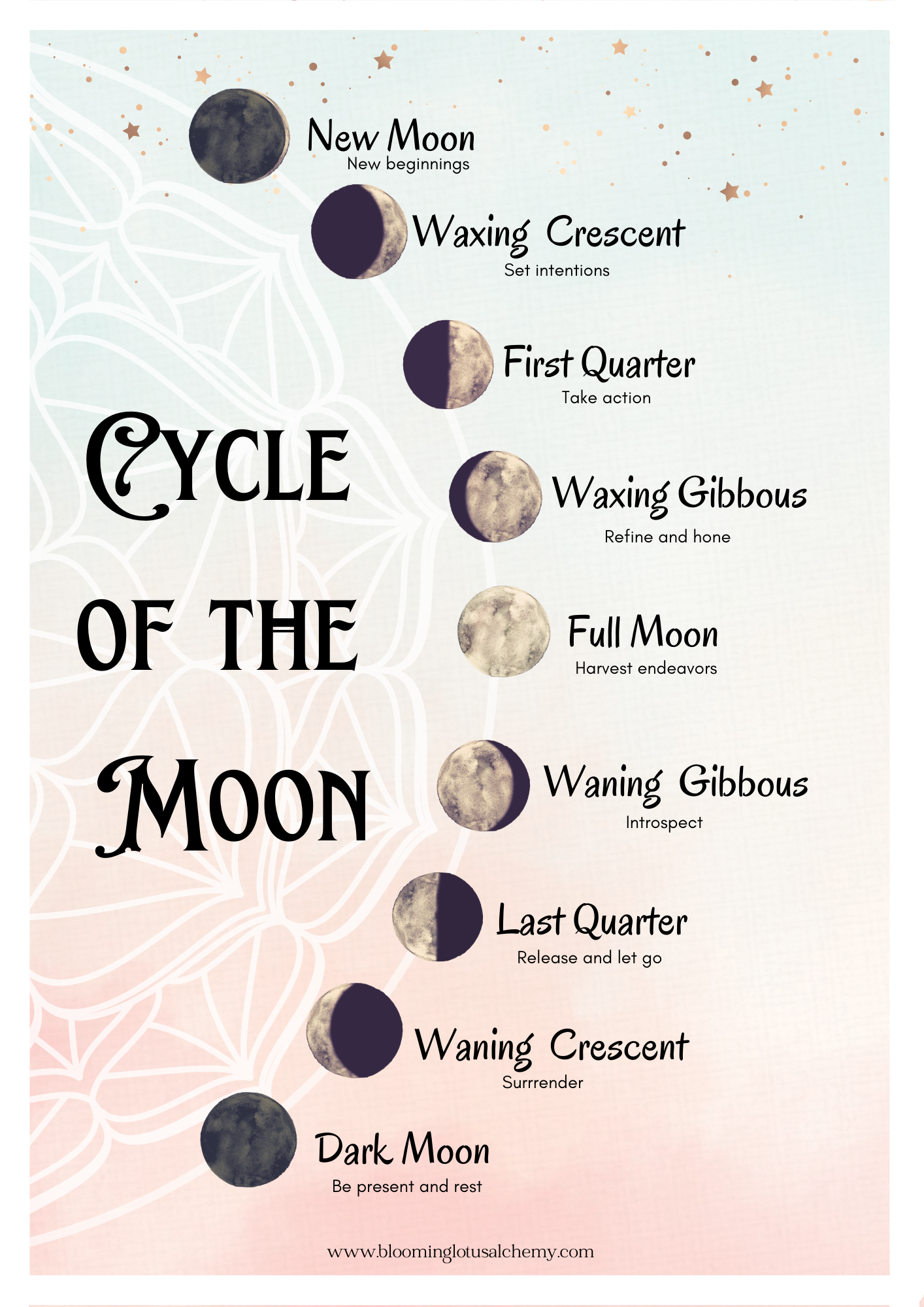 Moon Cycle Download | Blooming Lotus Alchemy moon-cycle-download-blooming-lotus-alchemy